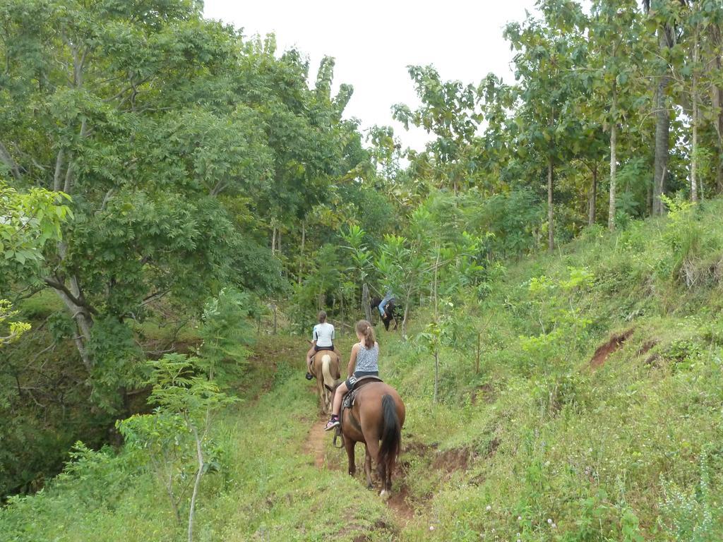 Eco Venao Lodge, Playa Venao Værelse billede