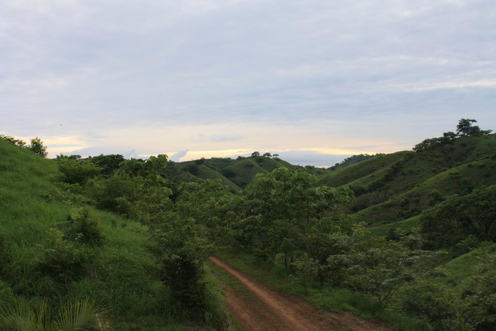 Eco Venao Lodge, Playa Venao Værelse billede